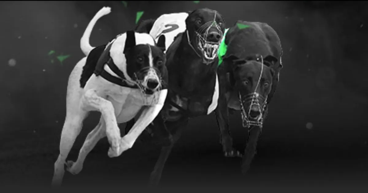 日本与克罗,地亚,握手言和,贪玩娱乐官网,贪玩娱乐平台,贪玩娱乐体育,贪玩娱乐