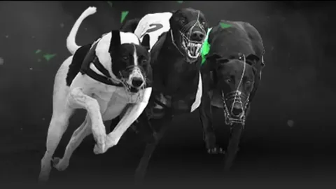 日本与克罗地亚1-1握手言和，利瓦科维奇三次神扑，克罗地亚点球制胜挺进世界杯16强