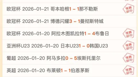 中国手绘征程：光影探索，辉煌共铸篇章